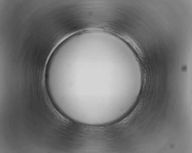 X0000116480884201001201340