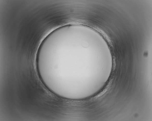 X0000116480885201001201340