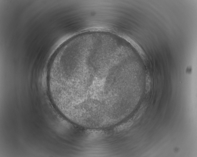 X0000116480886201001201340