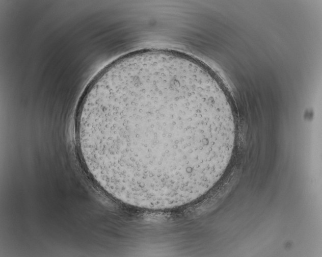 X0000116480887201001201340