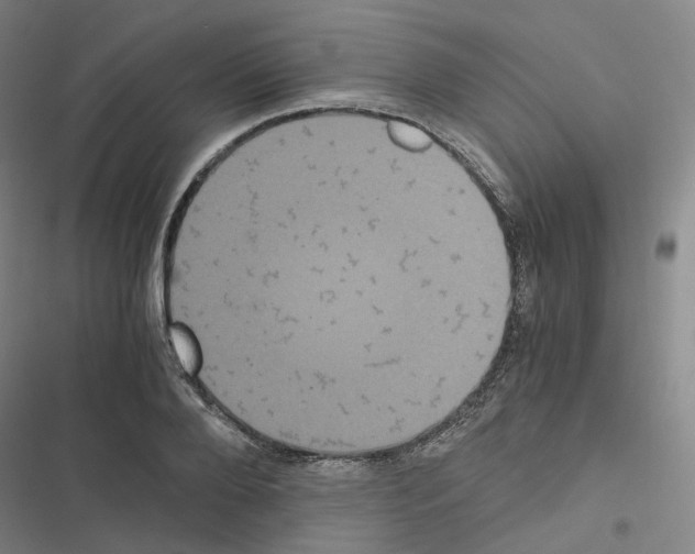 X0000116480888201001201340