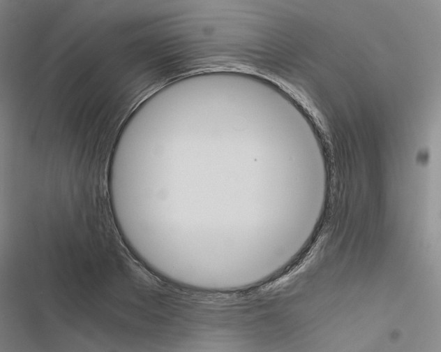 X0000116480889201001201340