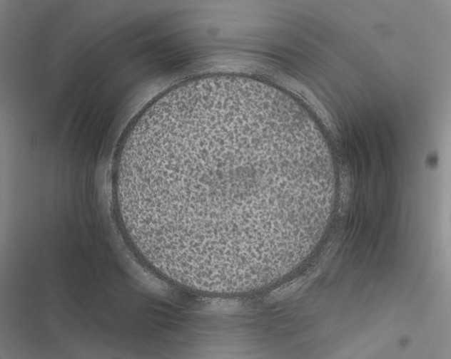 X0000116480890201001201340