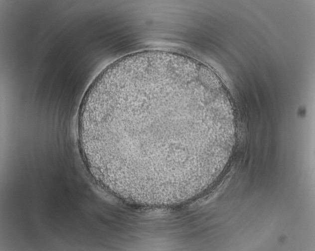 X0000116480891201001201340