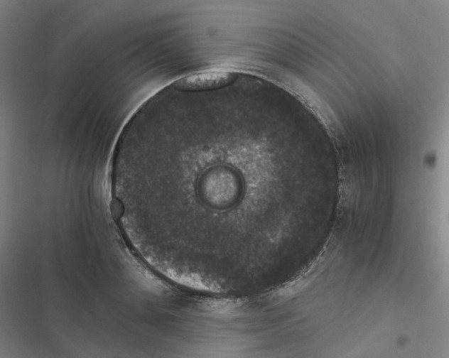 X0000116480892201001201340