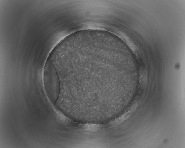 X0000116480893201001201340