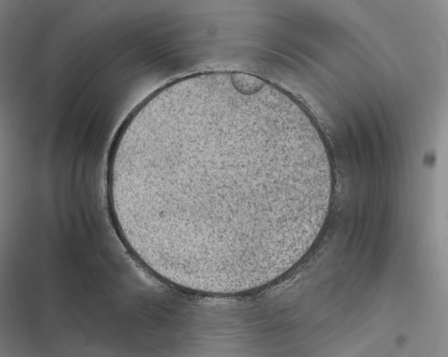 X0000116480894201001201340