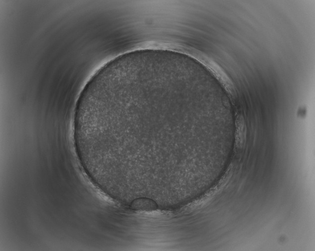 X0000116480896201001201340