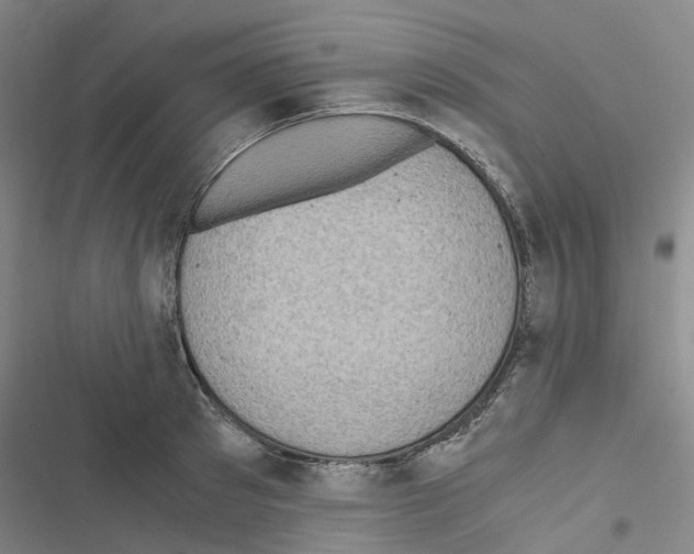 X0000116480897201001201340