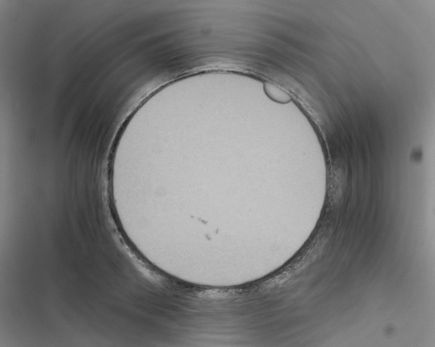 X0000116480898201001201340