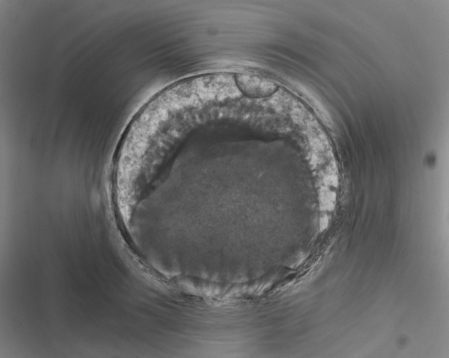 X0000116480899201001201340