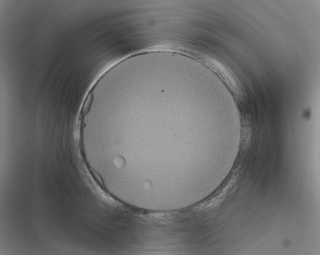 X0000116480900201001201340