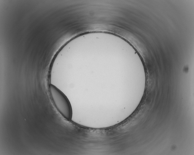 X0000116480901201001201340