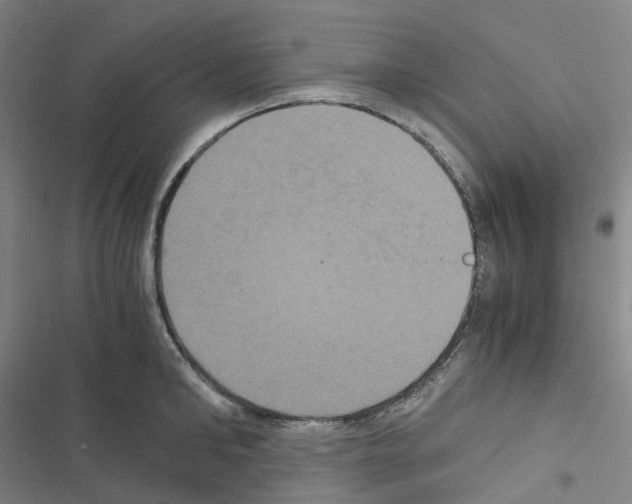 X0000116480902201001201340