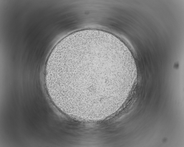 X0000116480903201001201340