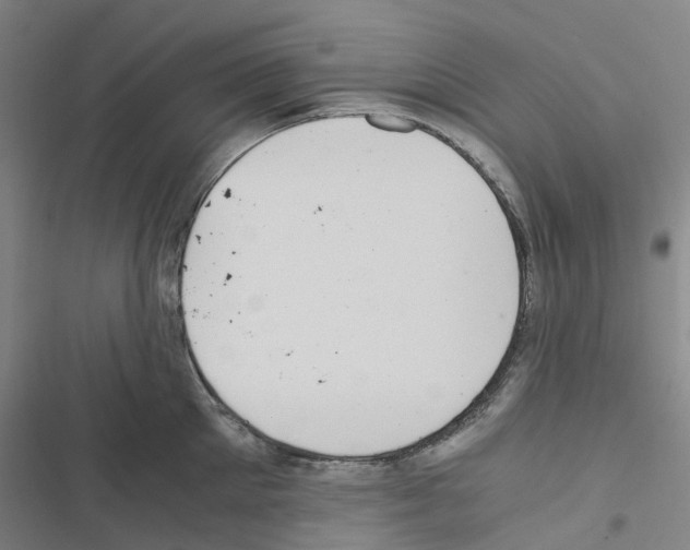 X0000116480905201001201340