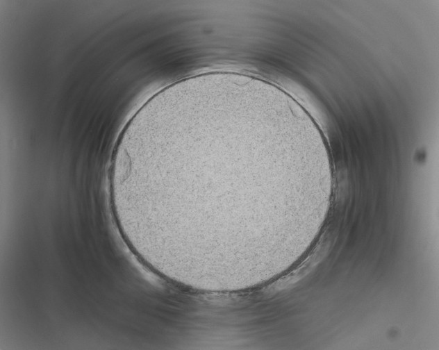 X0000116480906201001201340