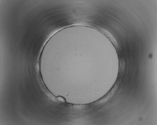 X0000116480908201001201340