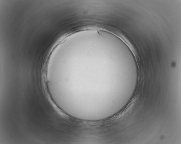 X0000116480909201001201340