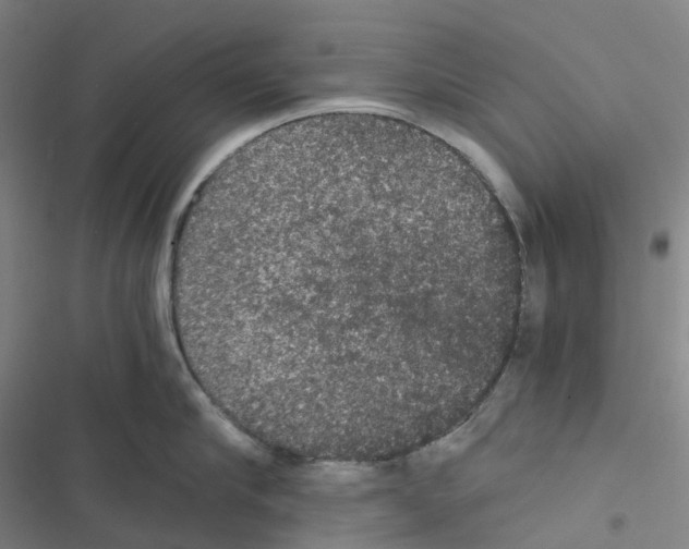 X0000116480910201001201340