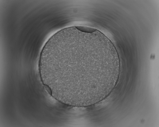 X0000116480912201001201339