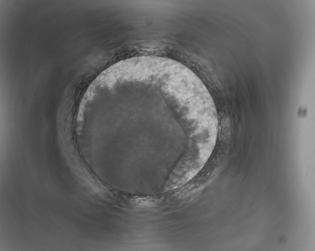 X0000116480913201001201339