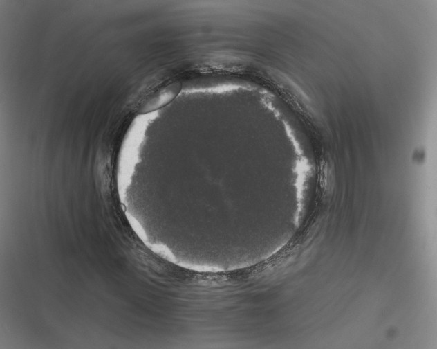 X0000116480915201001201339