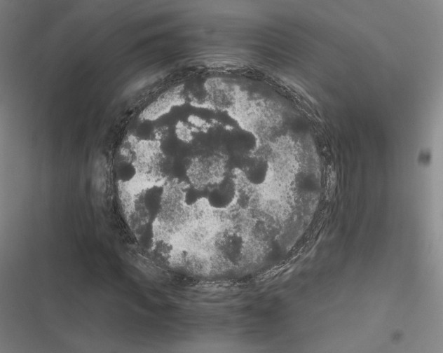 X0000116480917201001201339