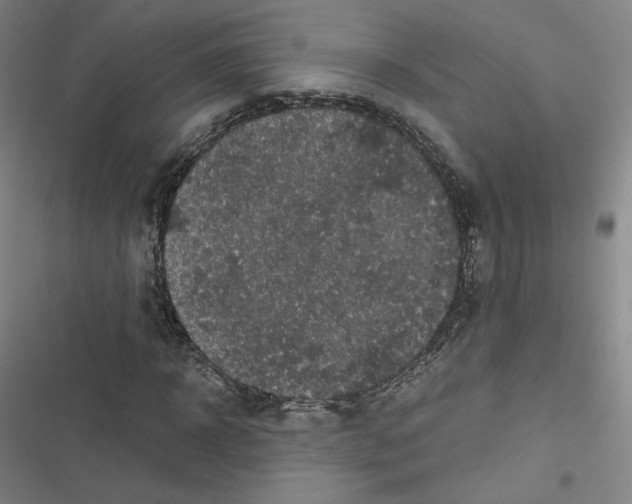 X0000116480918201001201339