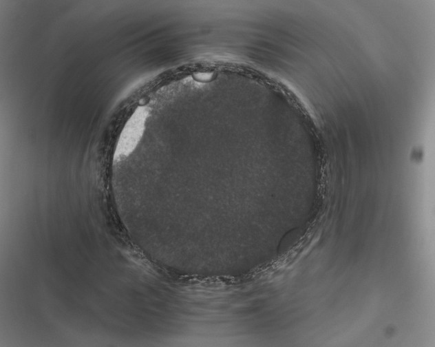 X0000116480919201001201339