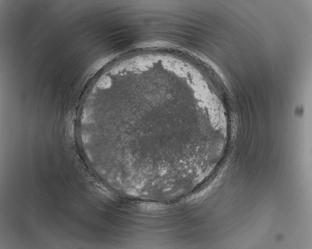 X0000116480921201001201339