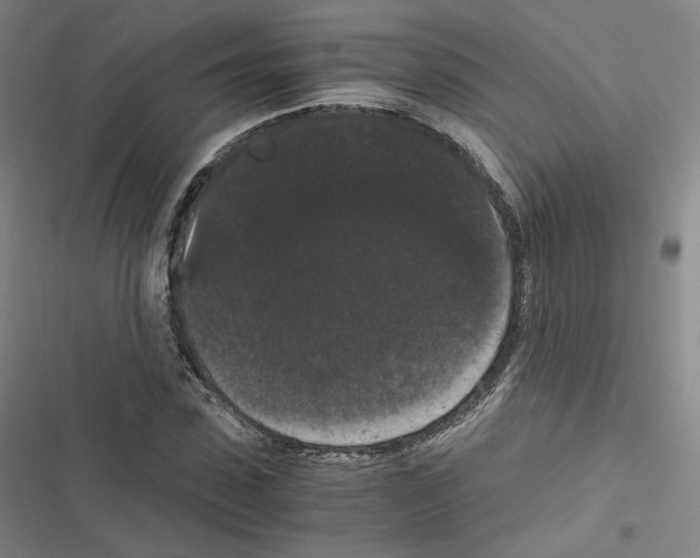 X0000116480923201001201339