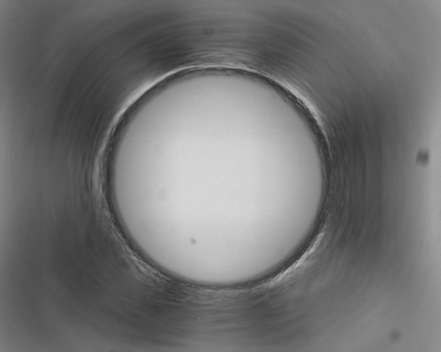 X0000116480925201001201339