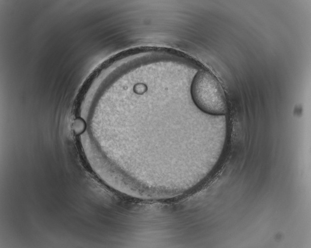 X0000116480926201001201339