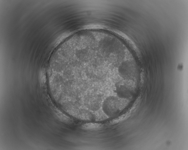 X0000116480929201001201339