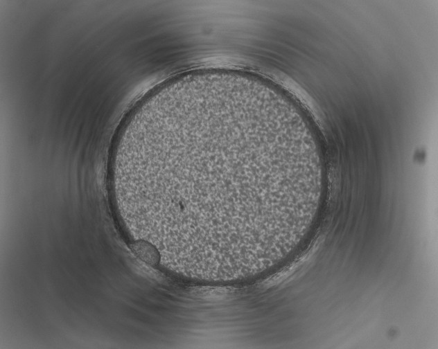 X0000116480930201001201339