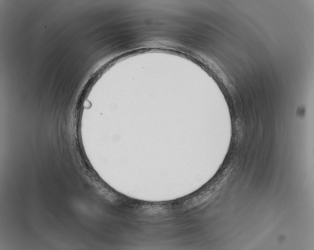 X0000116480931201001201339