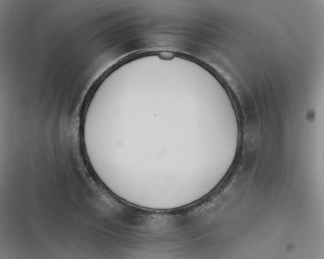 X0000116480933201001201339