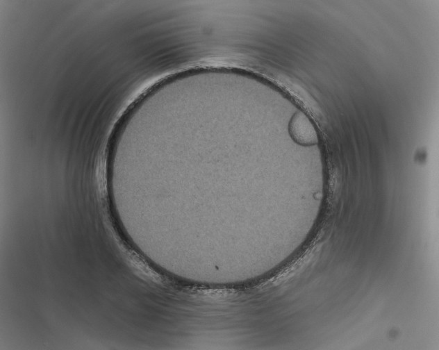 X0000116480934201001201339