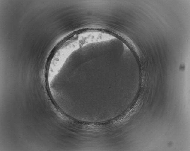 X0000116480935201001201339