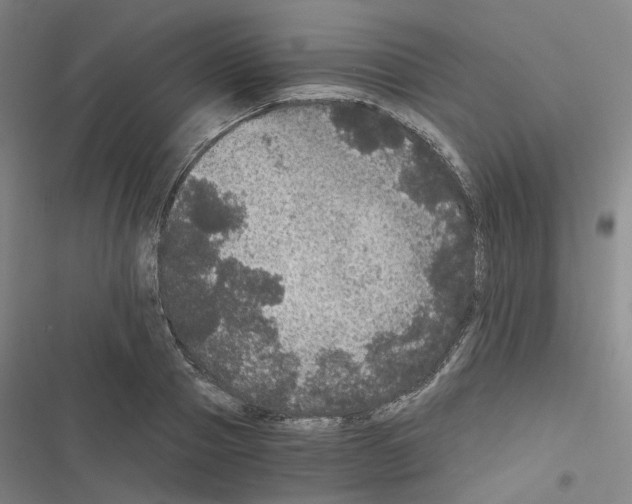 X0000116480937201001201339