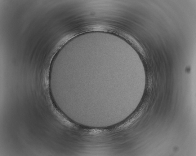 X0000116480938201001201339