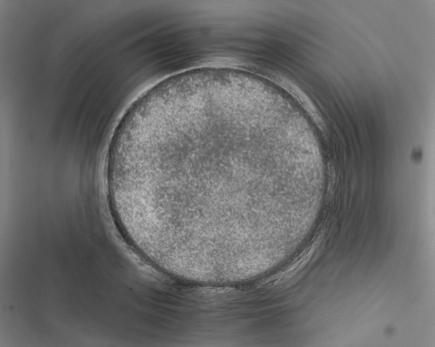 X0000116480939201001201339