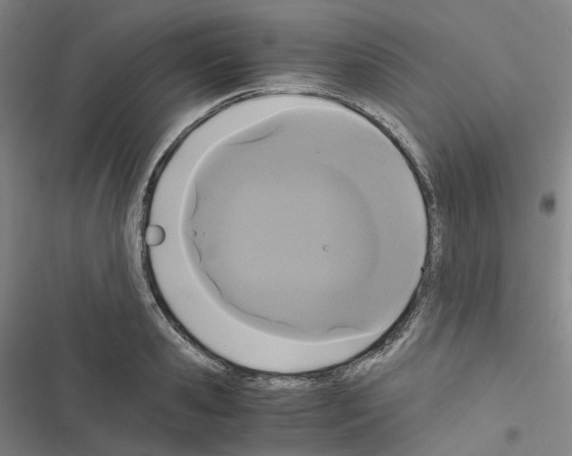 X0000116480941201001201339