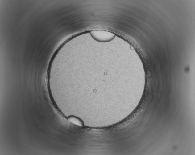 X0000116480942201001201339