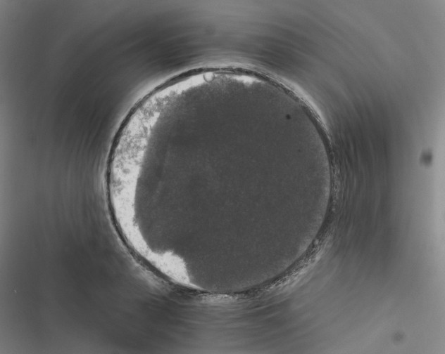 X0000116480943201001201339