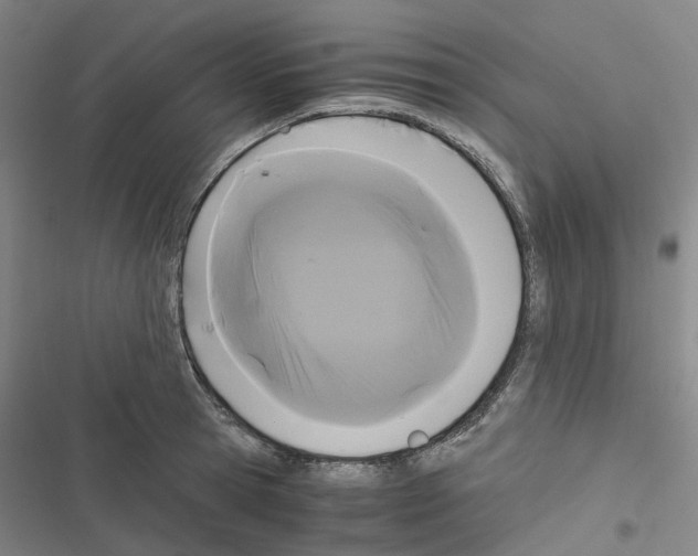 X0000116480945201001201339