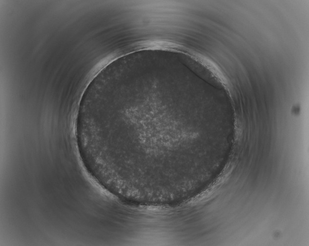 X0000116480946201001201339