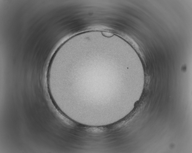 X0000116480947201001201339