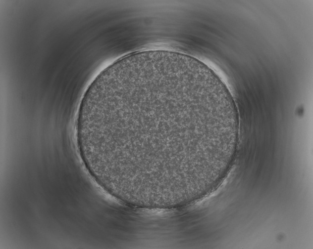 X0000116480949201001201339